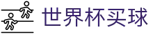 世界杯买球（中文）官方平台 | 真实体验与安全入口分析